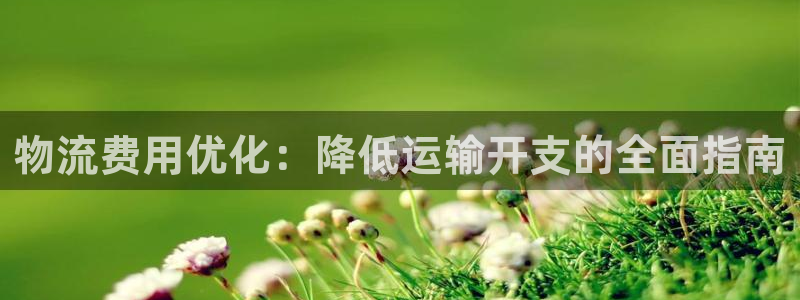 28圈辅助