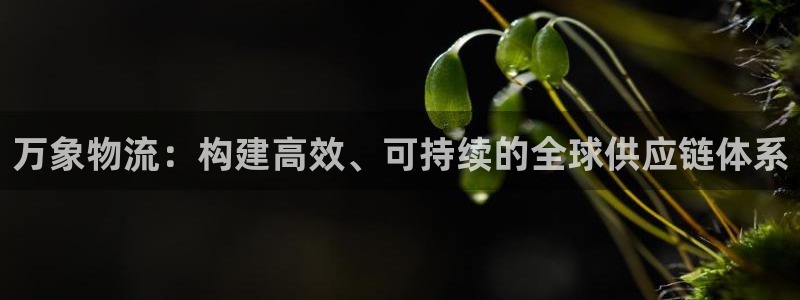 28圈怎么注册游戏名字：万象物流：构建高效、可持续的全球供应