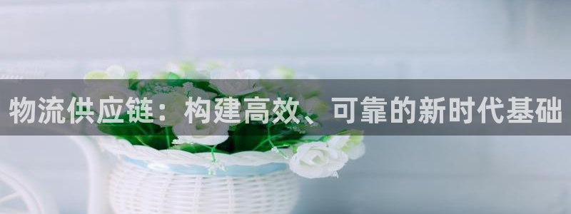 28圈注册限制怎么解除:物流供应链: