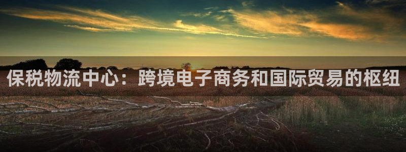 28圈注册上限是啥意思:保税物流中心