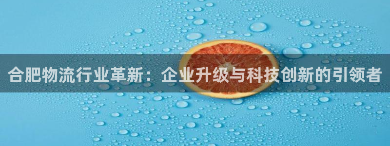 28圈退款教程：合肥物流行业革新：企