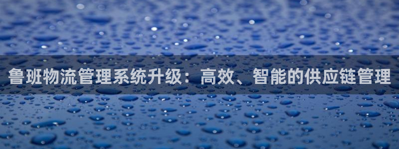 28圈官方官网：鲁班物流管理系统升级