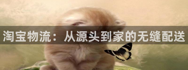 加拿大28圈注册链接:淘宝物流:从源