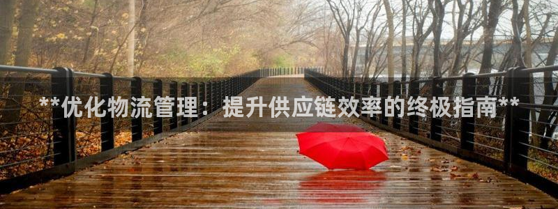 28圈注册登录链接流程:**优化物流