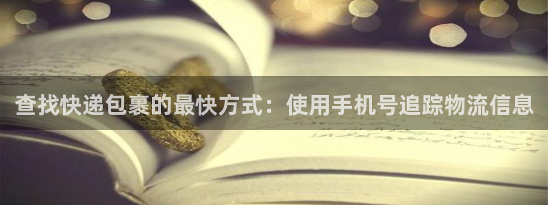 28圈模拟器下载:查找快递包裹的最快