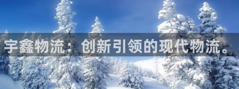 28圈充值:宇鑫物流:创新引领的现代