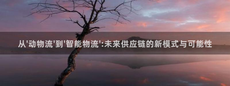 28圈注册送：从\'动物流\'到\'智能物流\':未来供应链