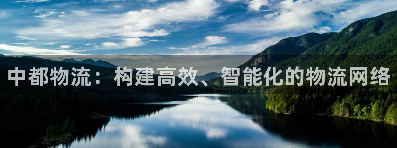 28圈最稳打法:中都物流:构建高效、