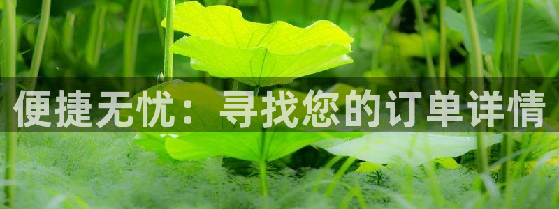 28圈注册链接入口:便捷无忧:寻找您