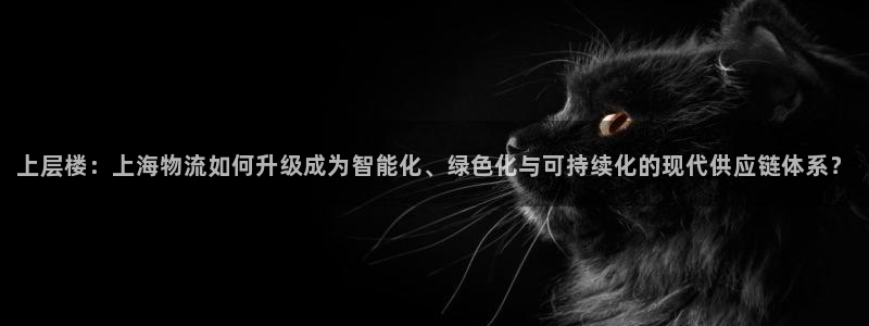 28圈p图上分下款通道:上层楼:上海