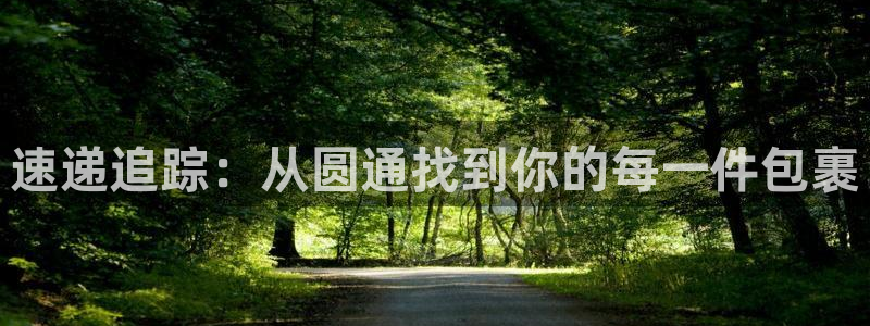 28圈的自行车：速递追踪：从圆通找到