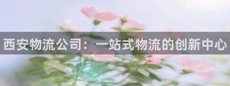 28圈注册链接：西安物流公司：一站式