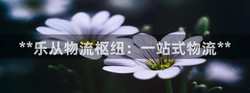 28圈app怎么注册账号