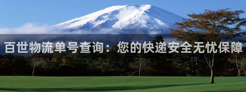 28圈官方平台：百世物流单号查询：您