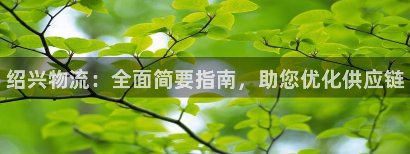 28圈注册流程：绍兴物流：全面简要指