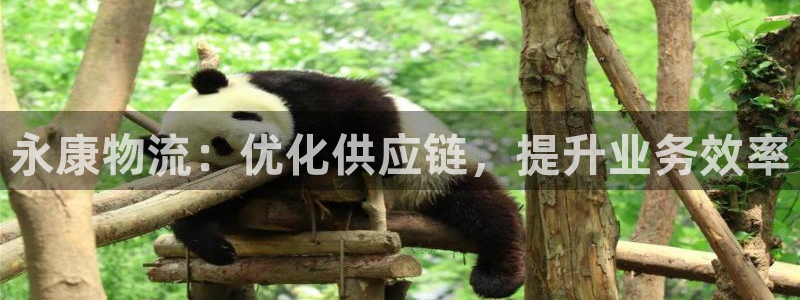 28圈ip被限制怎么解决：永康物流：