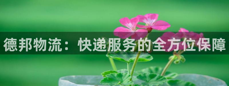 28圈和南宫28什么关系：德邦物流：