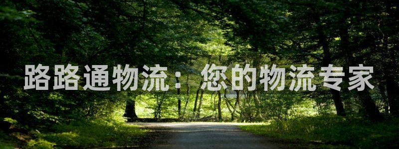 28圈注册与教程