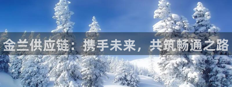 28圈APP是干什么的：金兰供应链：