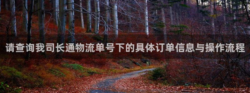 28圈如何看计划：请查询我司长通物流