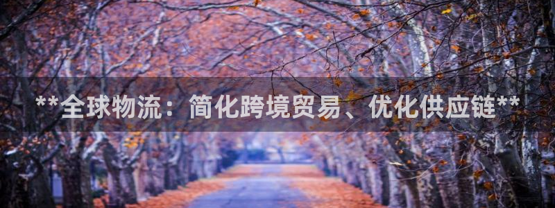 28圈连输10天：**全球物流：简化
