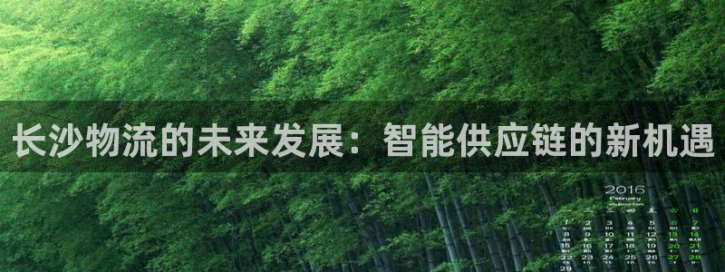 28圈加拿大最新版：长沙物流的未来发