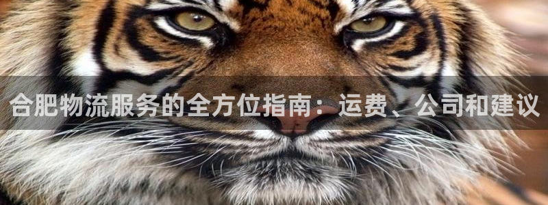 28圈选28ng官网：合肥物流服务的