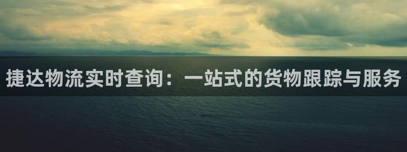 28圈系统自动保护：捷达物流实时查询