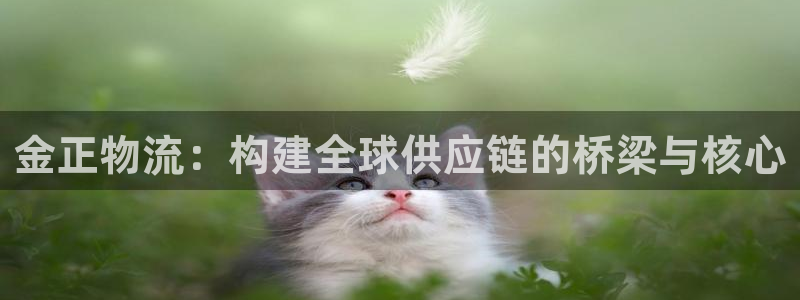 28圈链接：金正物流：构建全球供应链