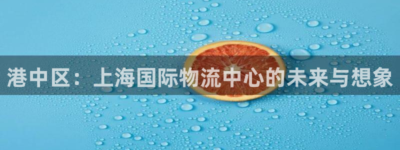 28圈注册号：港中区：上海国际物流中
