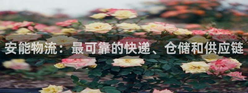 28圈口戒指是多大：安能物流：最可靠