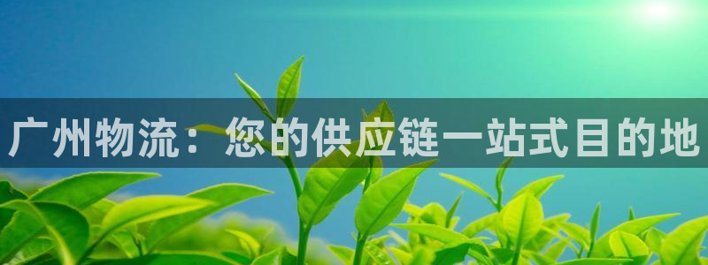 28圈充值不处理怎么办：广州物流：您