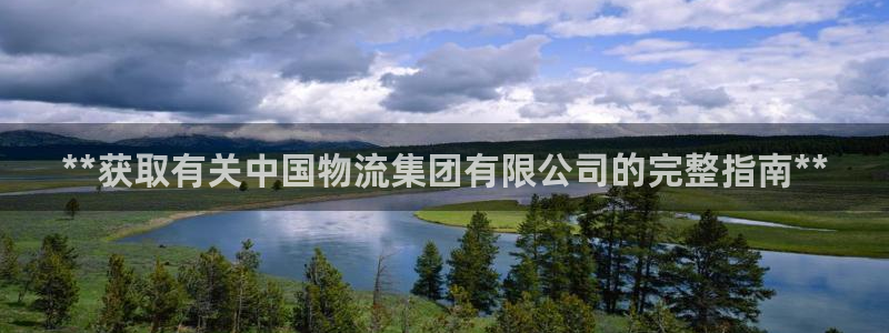 28圈充值：**获取有关中国物流集团