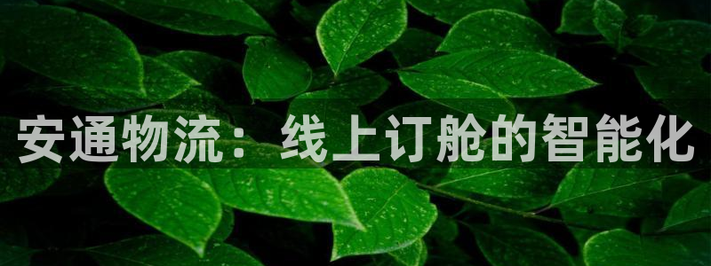 28圈app怎么注册账号：安通物流：