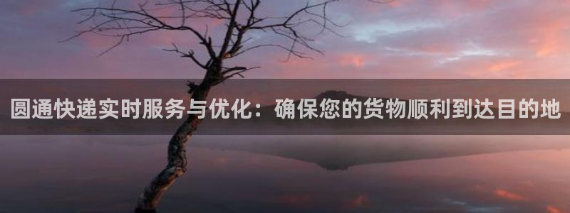 28圈模拟器在线使用：圆通快递实时服