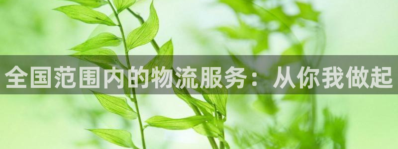 28圈p图上分下款通道：全国范围内的