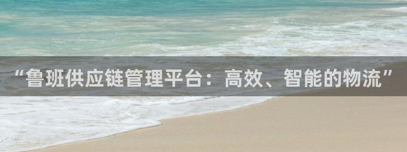 28圈模拟器：“鲁班供应链管理平台：