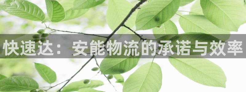 28圈pg麻将胡了：快速达：安能物流