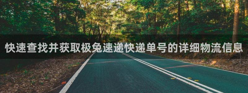 28圈是什么软件：快速查找并获取极兔