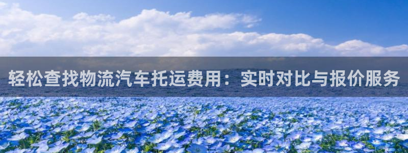 28圈p扣除是什么意思：轻松查找物流