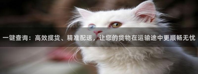 28圈怎么注册账号：一键查询：高效揽