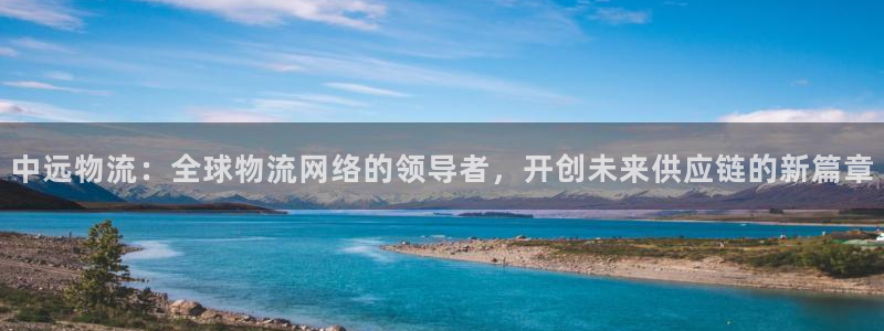 28圈如何注销账号：中远物流：全球物