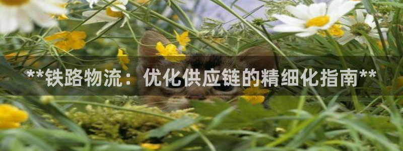28圈注册号：**铁路物流：优化供应