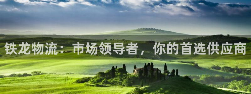 28圈网赌有什么风险：铁龙物流：市场