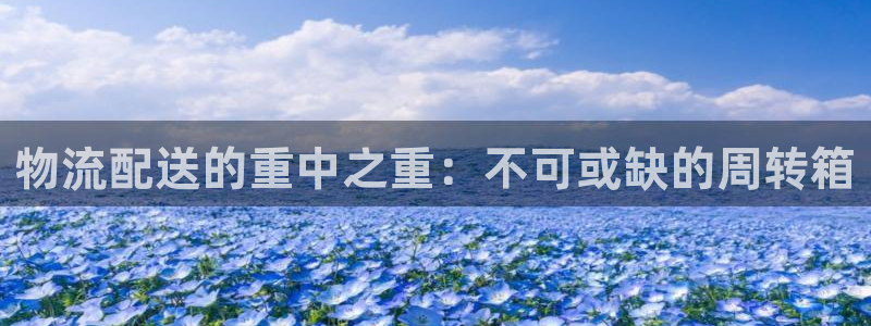 28圈加拿大开奖：物流配送的重中之重