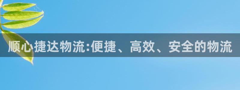 28圈黑款：顺心捷达物流:便捷、高效