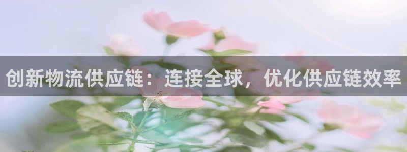 28圈的平台：创新物流供应链：连接全