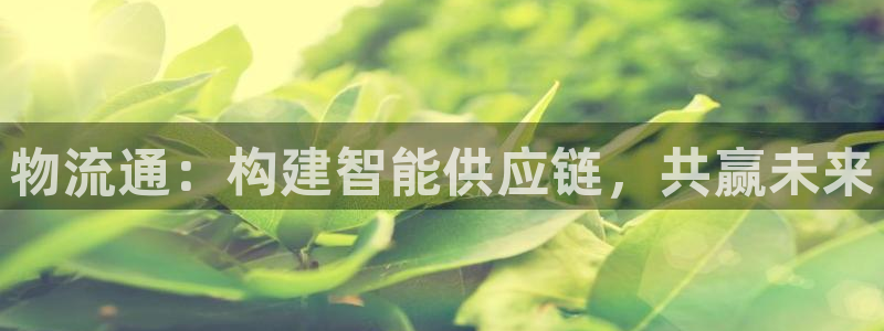 28圈网赌案件:物流通:构建智能供应