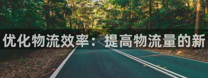 28圈加拿大最新版：优化物流效率：提