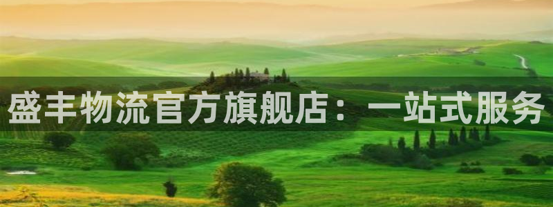 28圈游戏:盛丰物流官方旗舰店:一站